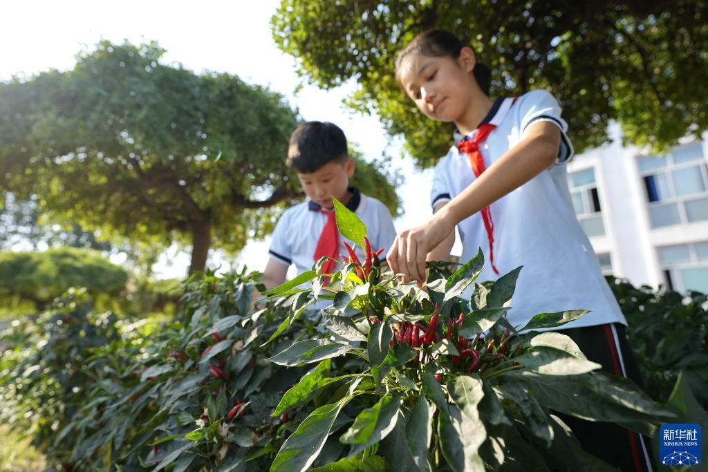 菲律宾申博游戏